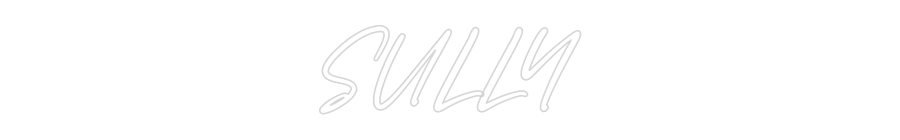 Custom Neon: SULLY