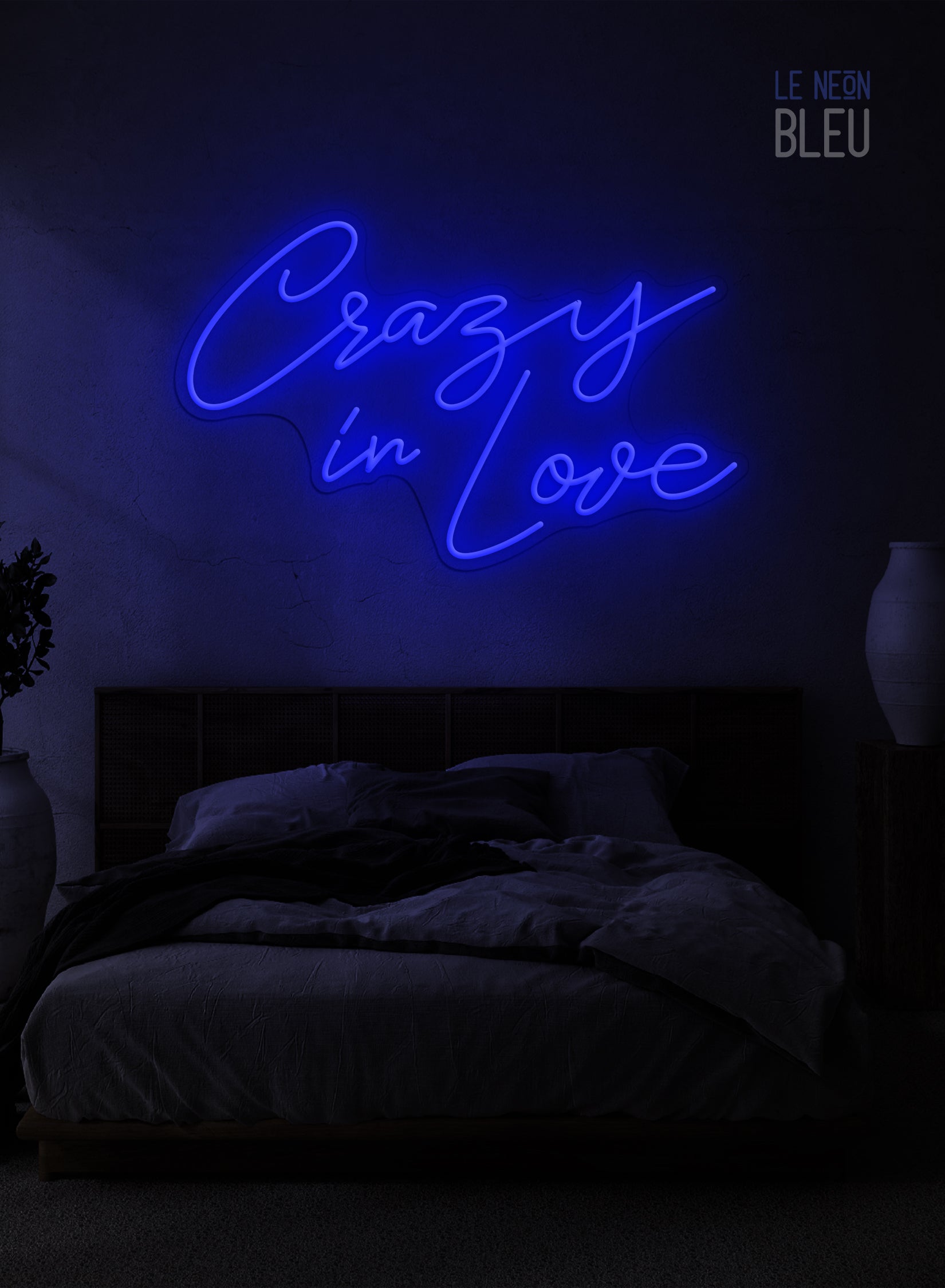Crazy In Love - Néon LED