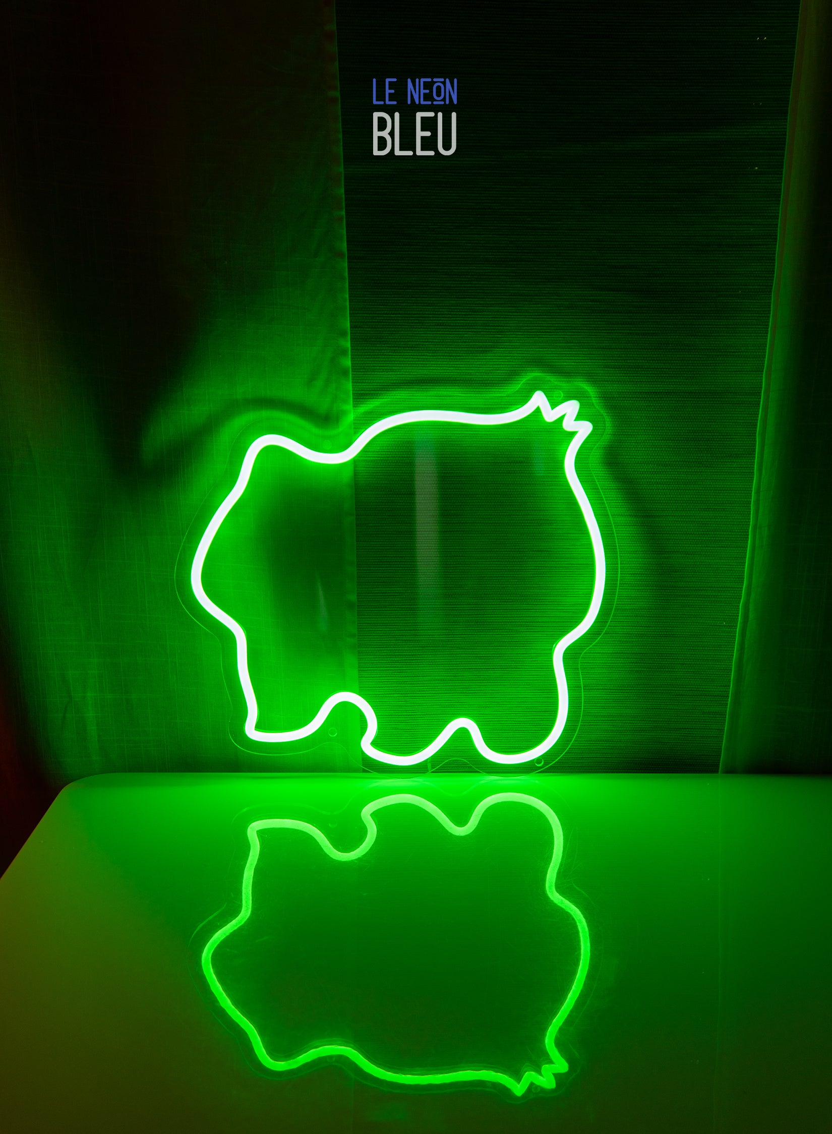 Bulbizare - Néon LED