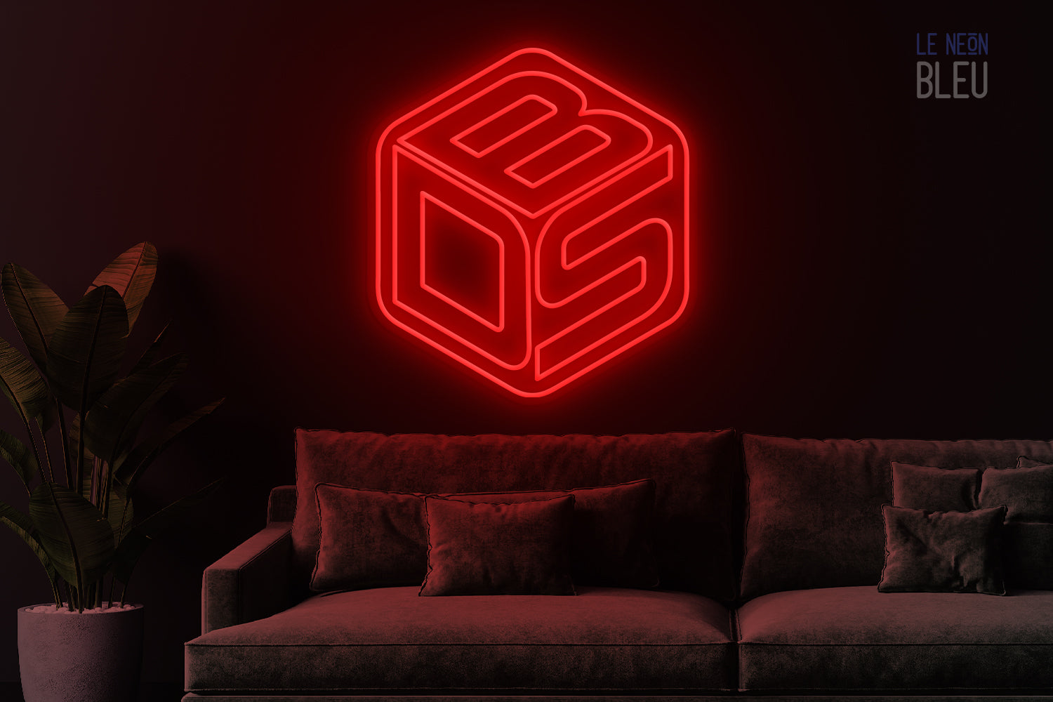 DBS - Néon LED