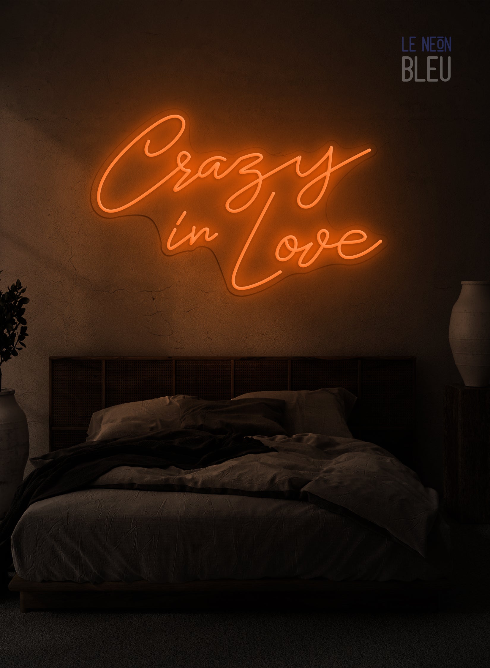 Crazy In Love - Néon LED