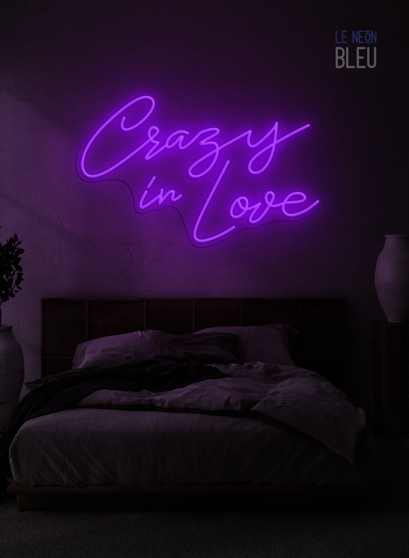 Crazy In Love - Néon LED