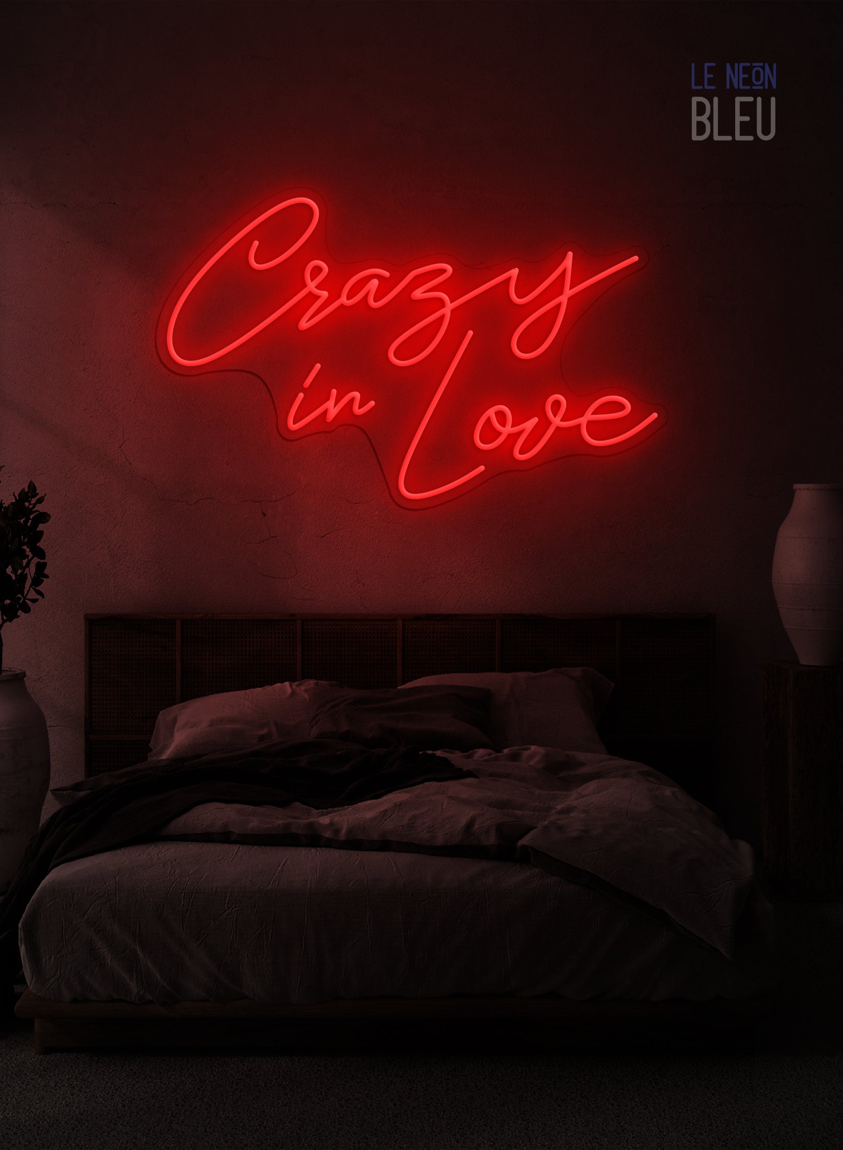 Crazy In Love - Néon LED