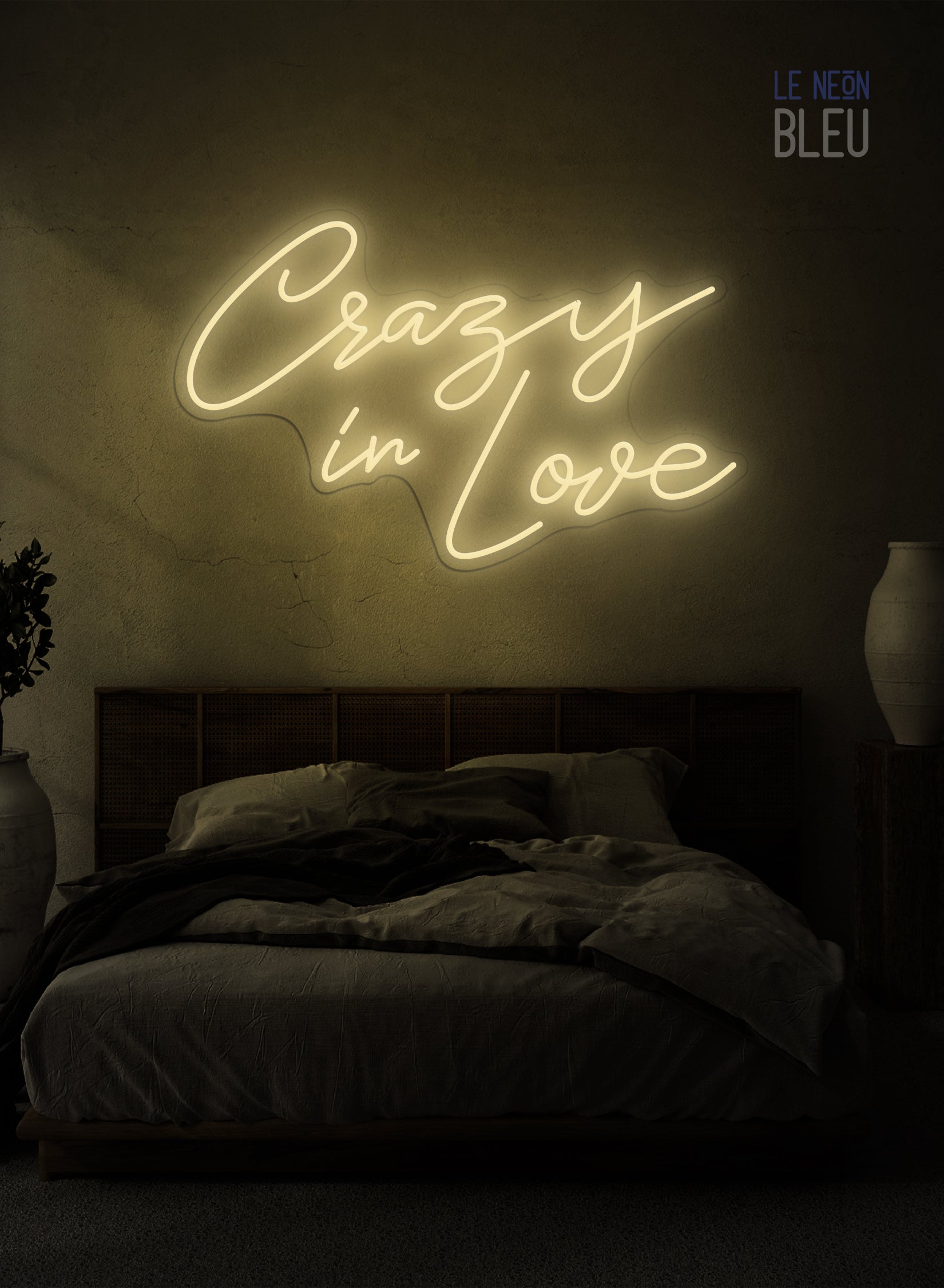 Crazy In Love - Néon LED