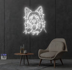 azog- LED Neon