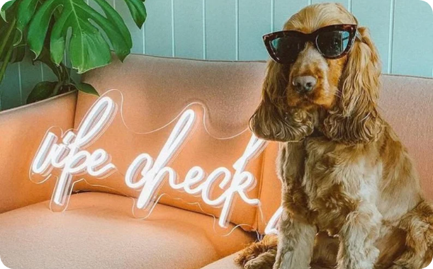 Comment illuminer votre bureau ou votre magasin avec des enseignes au néon led