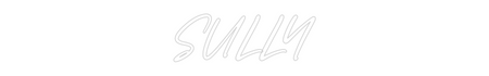 Custom Neon: SULLY
