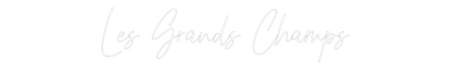 Custom Neon: Les Grands Ch...