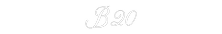 Custom Neon: B20