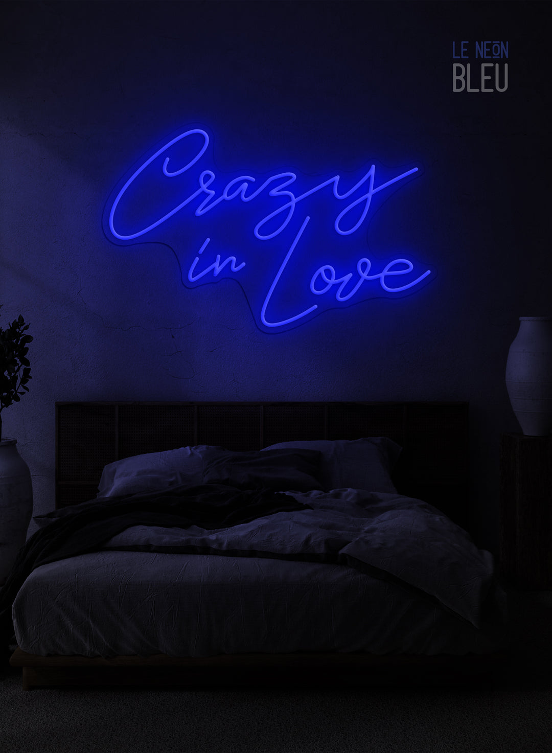 Crazy In Love - Néon LED