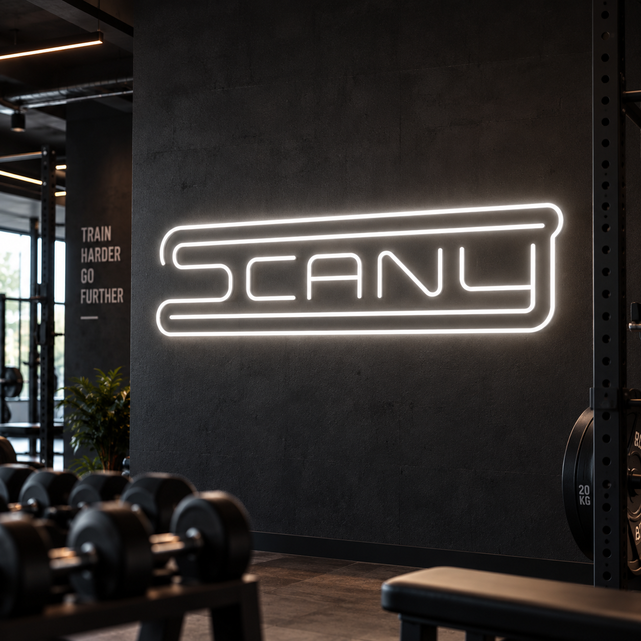 scany