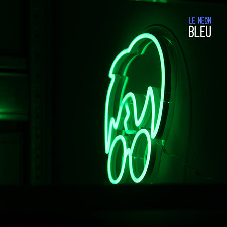 Harry Potter - Néon LED