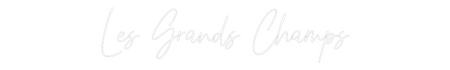 Custom Neon: Les Grands Ch...