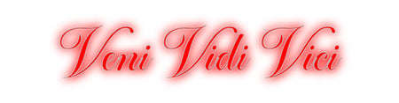 Custom Neon: Veni Vidi Vici