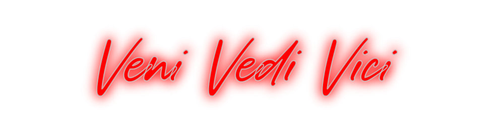 Custom Neon: Veni Vedi Vici