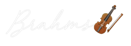 Custom Neon: Brahms🎻